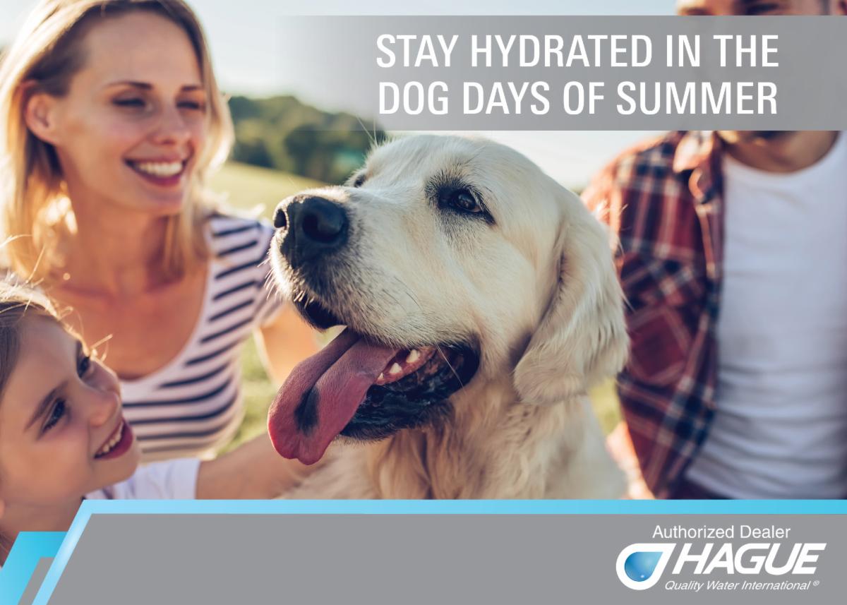 Dog-Days-Shareable-Aug2020